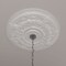 Ekena Millwork Darnay Ceiling Medallion (Fits Canopies up to 7 1/4"), 29 1/4"OD x 2"P, Primed White CM29DA - alternate 9